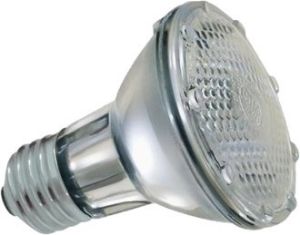 Picture of R63 Lamp  Halogen Bte