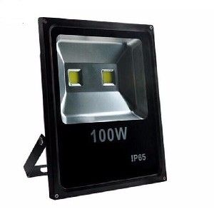 Picture of Led Floodlight 100w