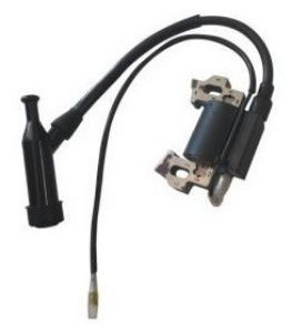 Picture of Generator Magneto 6500W