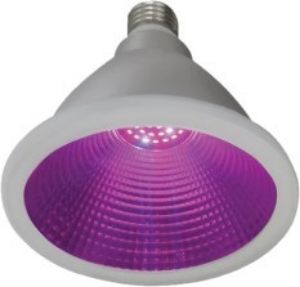Picture of Led Glow Light E27 Par38 15W IP65