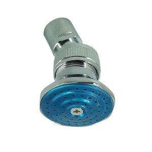 Picture of Shower Rose 065 DB