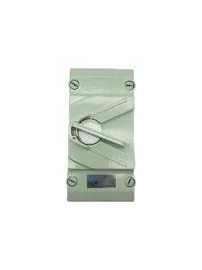Picture of Isolator Switch IP66 63a 2P WP