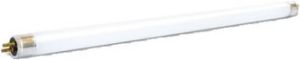 Picture of Flrscnt Tube T5 -4w G5 C/W