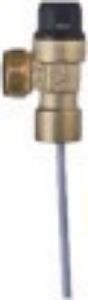 Picture of Safety Valve Female 600kpa